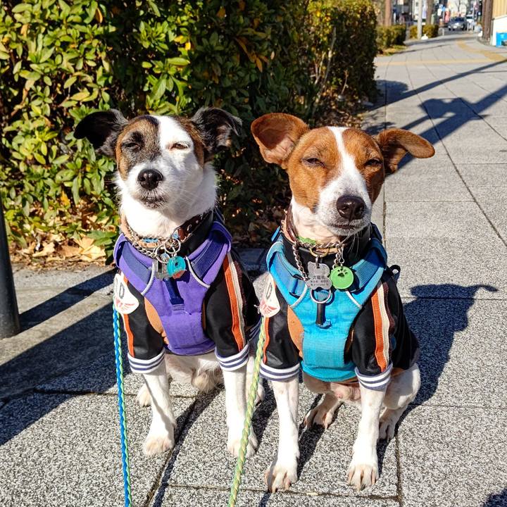 Ebf66f13 ba75 48af 894f 9c595291a6bb 1642297710791