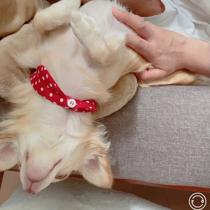 Ebf67758 6ab5 4f5f a674 cedcd9333f94 1632279977230