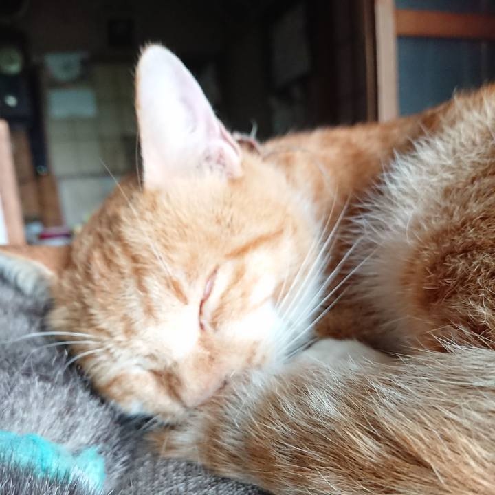 Ebf693a9 01d4 454a 82fb 766eb890ba12 1565940579808