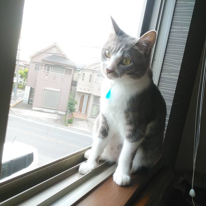 Ebf6d421 d090 47fd ba6c 3ffb985f585e 1591568637466