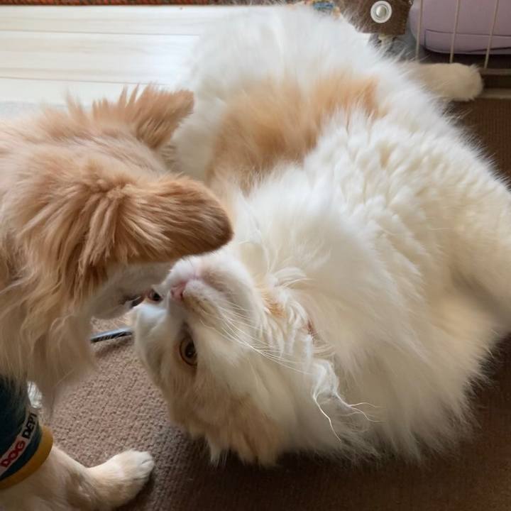 Ebf6fa56 314f 40f0 bf57 674f3f207d39 1612097264040