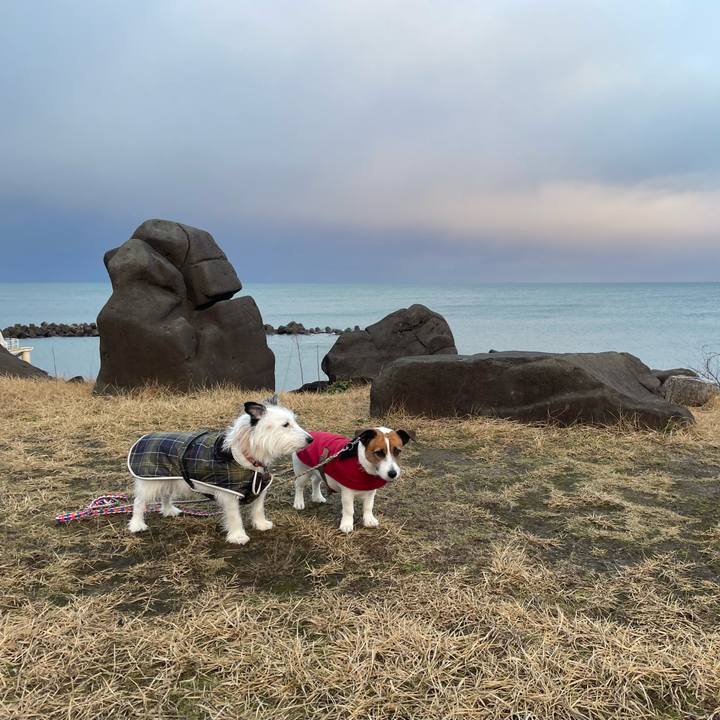 Ebf726ea db91 4fa4 a10e fbd5c96a99ef 1734736315564