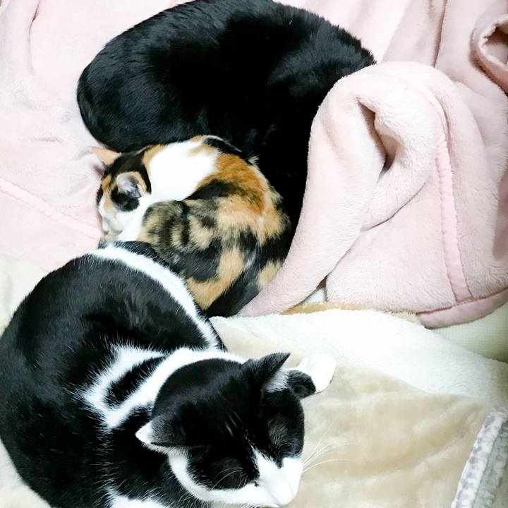 Ebf747f5 0e92 4607 a9a2 bc484c79c0b1 1514642151931