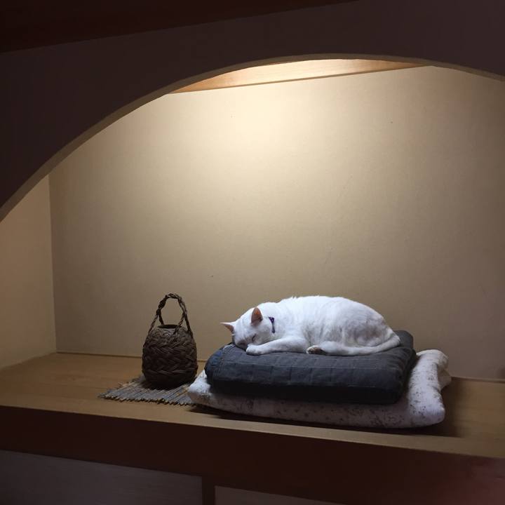 Ebf75eb6 3c12 4917 b913 8d159589404a 1562280272903