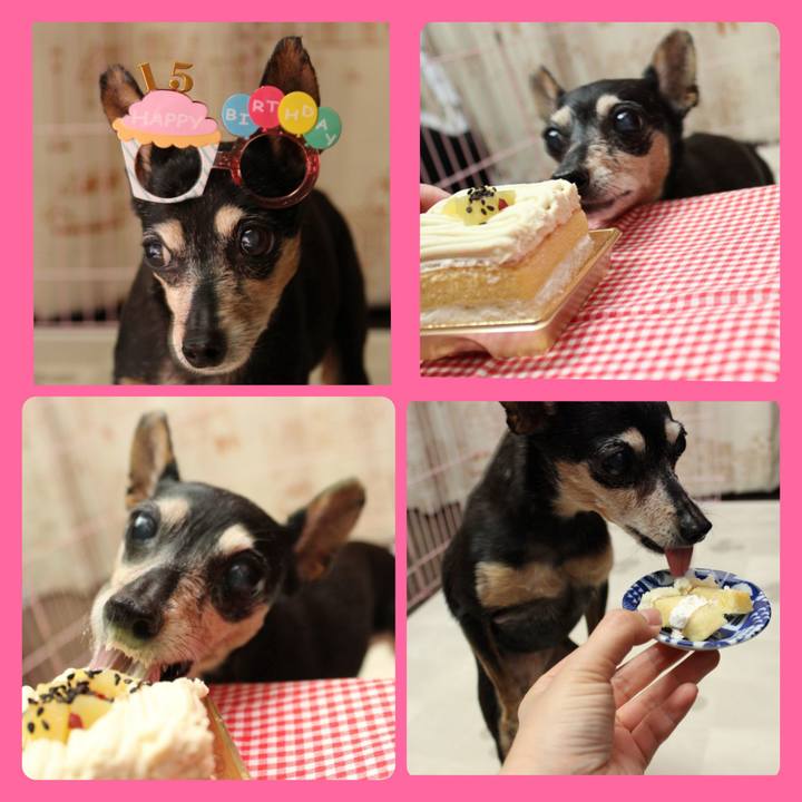 Ebf765cf db83 4cc1 b971 d4602092dccd 1677464255219