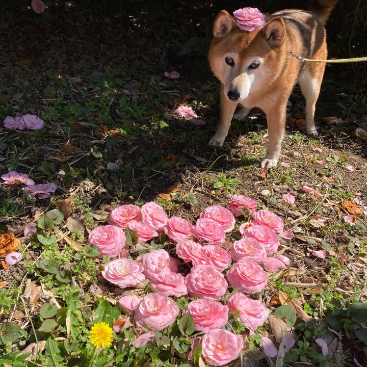 Ebf76f8f 9f91 4d99 a76c 51d38444453a 1679283640182