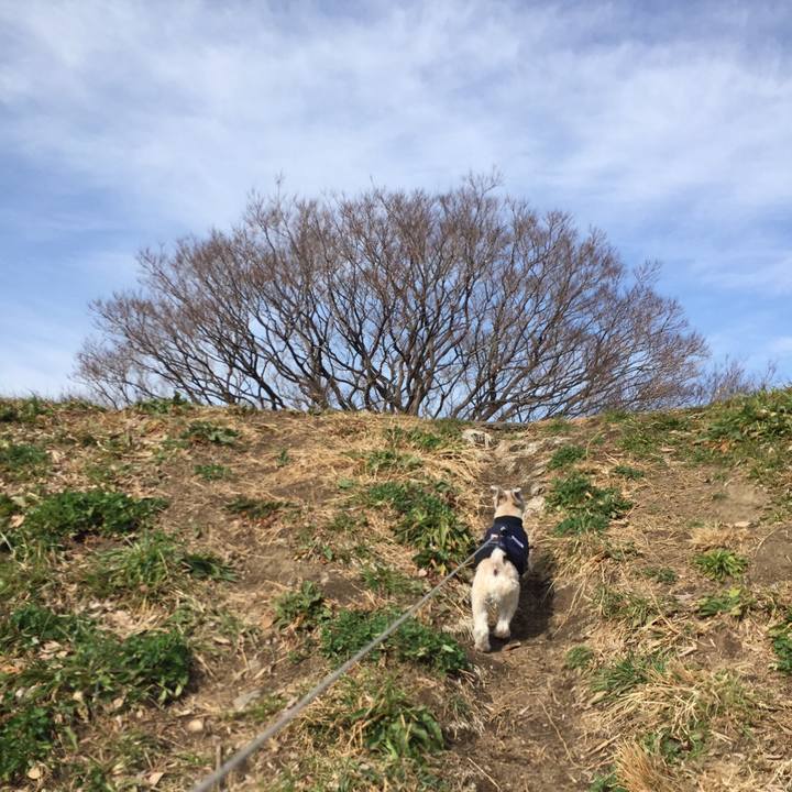 Ebf7708d 938f 4f41 9b1b 8dbc55cd3634 1549791818766