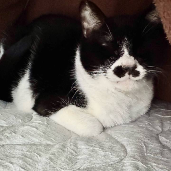 Ebf77b09 9935 4c32 9fe8 c10c54072748 1737858977497