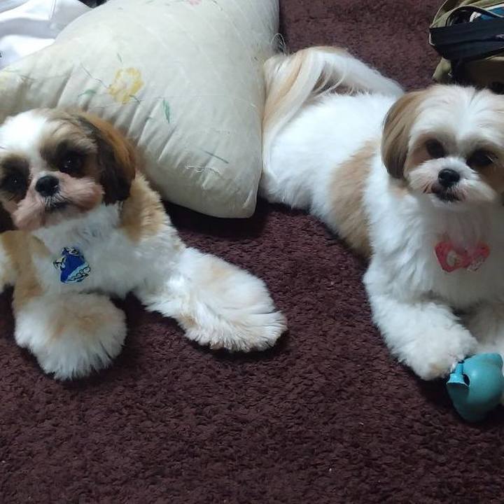 Ebf78206 a916 4df8 b29c 4c39971341ef 1571920719210