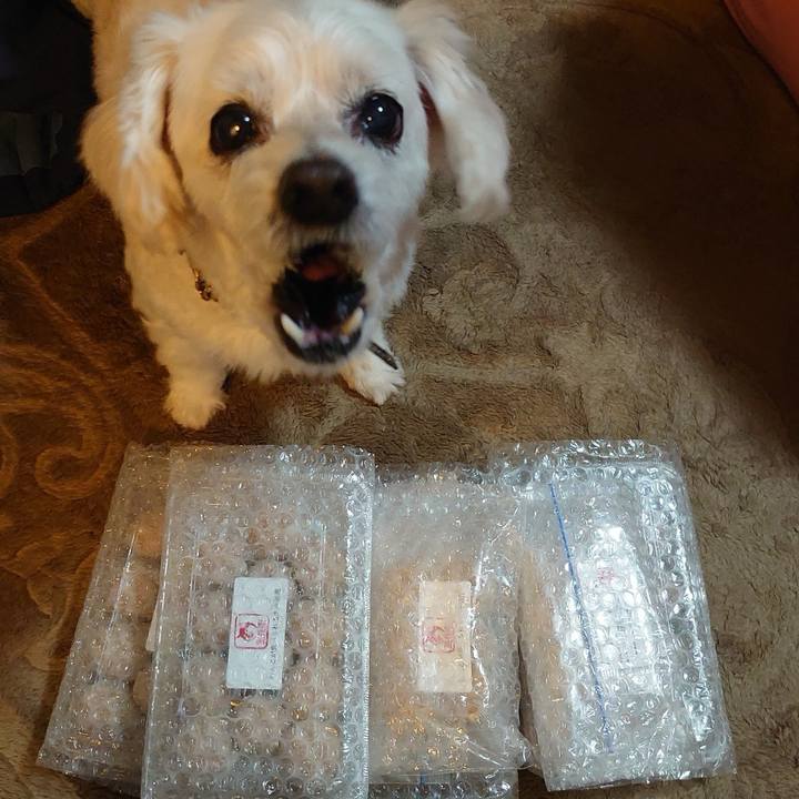 Ebf78f97 f4de 4734 9a4d 883e8fb87773 1762327430051