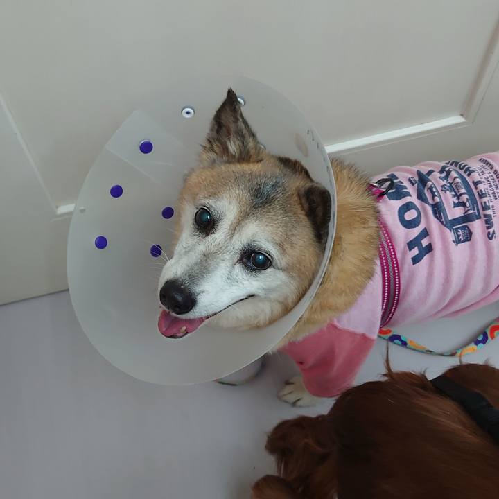 Ebf79ded 7289 49ab 9d21 e6d84521fcf0 1707546168876