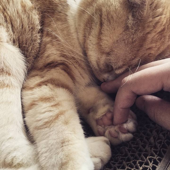 Ebf7e031 af26 41bf 9d9f 53ec46990c81 1520088035911