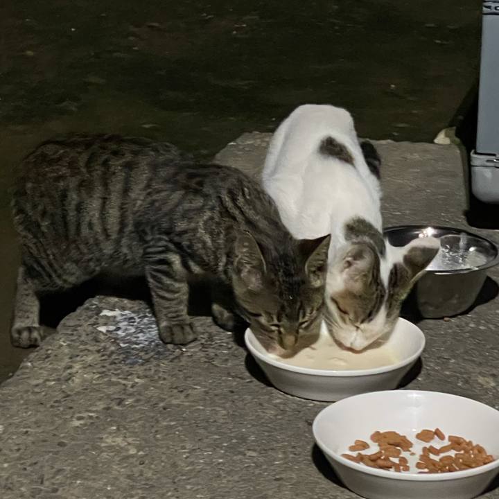 Ebf809aa bebd 4759 a0bd 5a3ab0fd8683 1630927812624