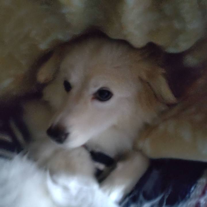 Ebf81b87 1ae7 49c1 8181 059feef3ab2d 1641935278169