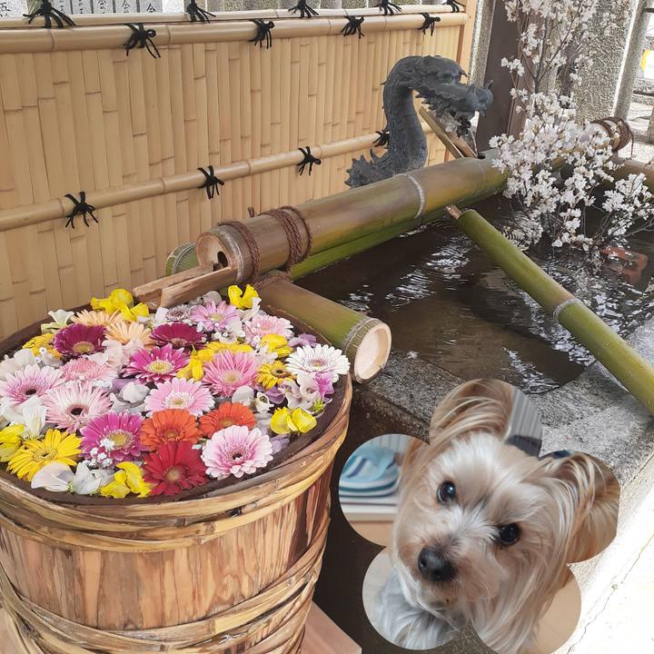 Ebf81fb8 d82c 4e6d a1b2 ff5a873bb649 1648182441287