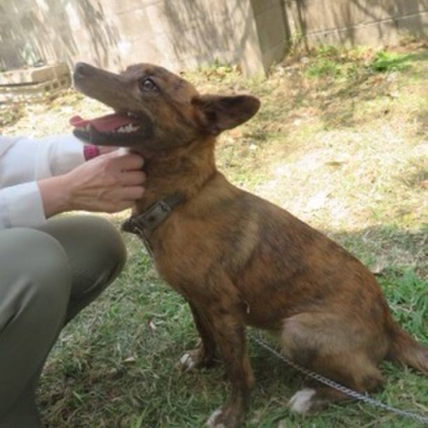 Ebf8bbc6 83c1 4d2f 965f 2b297a861560 1589380100199