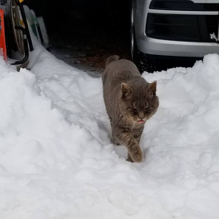 Ebf8c713 5ad2 464e 8fae a909918e388d 1548373425710