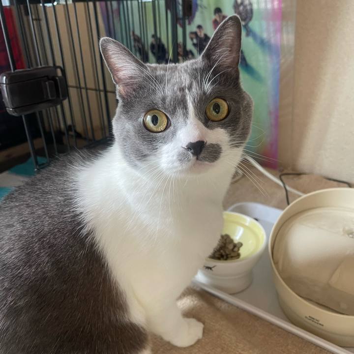 Ebf8cd14 dc09 4148 819d 4339f1f12c96 1731198596980