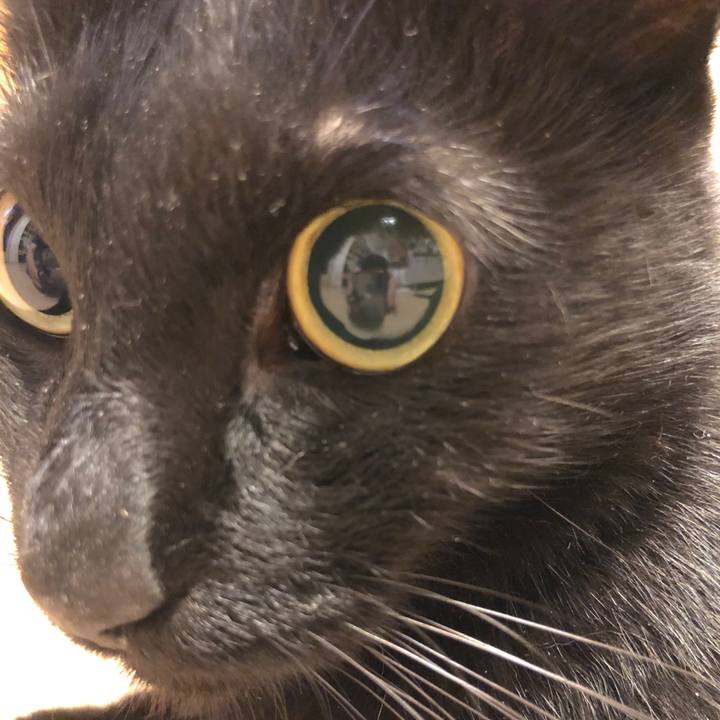 Ebf8d371 27cf 4107 884a db9040babe21 1535819188829