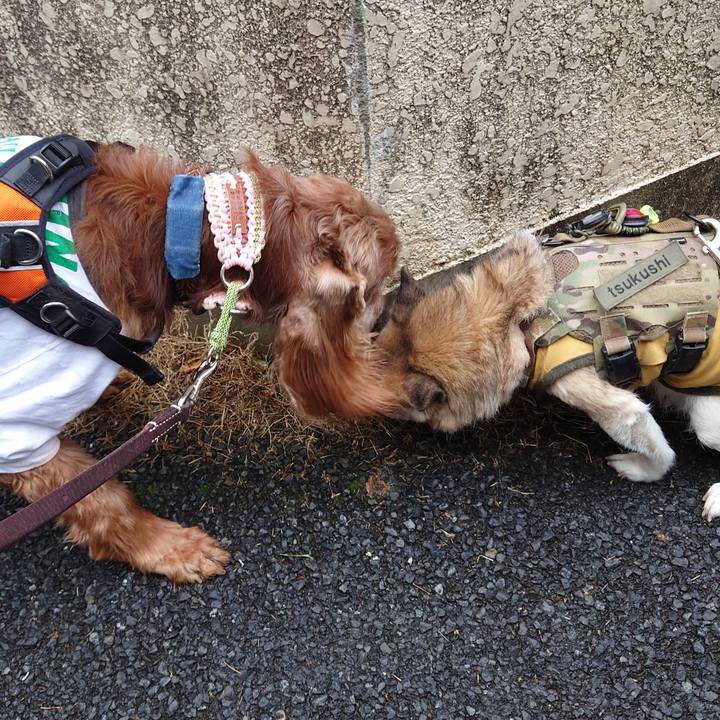 Ebf903eb 4667 4c33 a9f0 7dea3c7f39d1 1710916005757