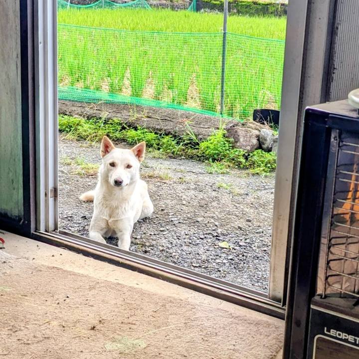 Ebf915fe f737 4d8a 91da 3d58bdfcd1d6 1761882979670