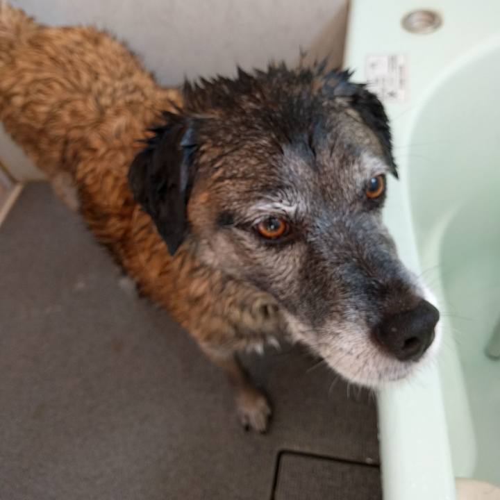 Ebf917c2 6ebc 4098 899b 60f8214a5070 1509332524100