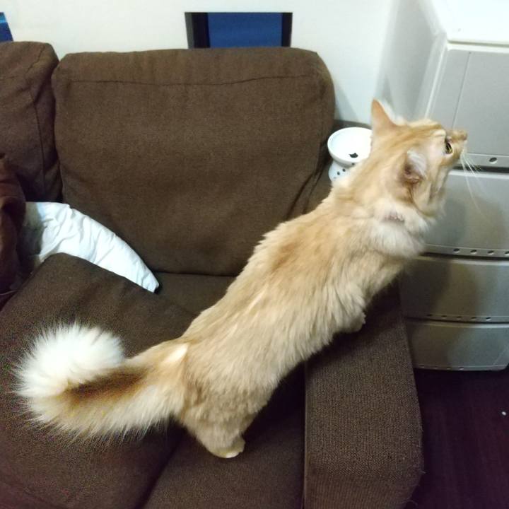 Ebf920e0 0cb9 4e79 a532 7bf46eed8740 1635111699632