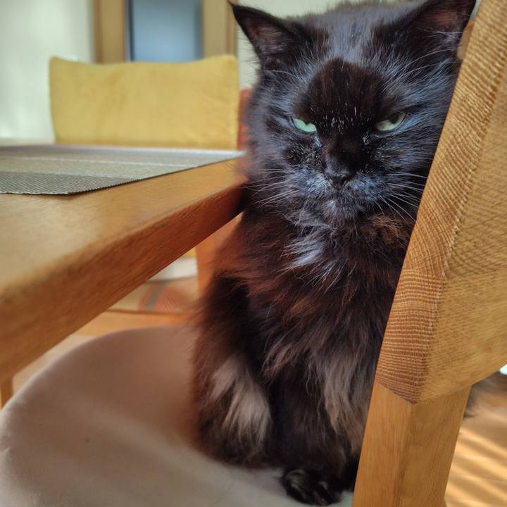 Ebf93324 e799 4112 adfd f0dfb411bc90 1737417219133