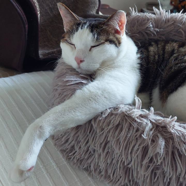 Ebf9445b 935d 4dba ae9f 6c92e3764157 1746235706728