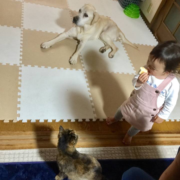 Ebf95f1e 84a0 49bf baed d27ad04ec4e3 1525424271164