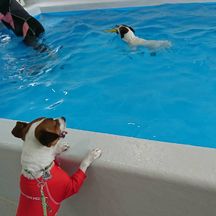 Ebf96cce ac01 4753 a297 10e67e3c571d 1616387935484