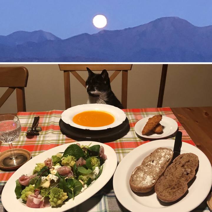 Ebf974d8 f10a 4f0f a6f4 ce09b8dcfcd2 1581330498229