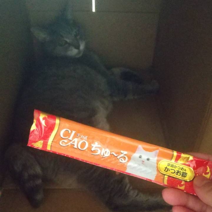 Ebf97829 0bbb 4a56 b0b2 8b742afcf4ea 1663455519475