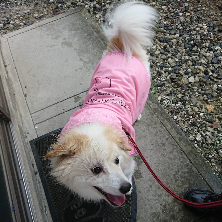 Ebf97894 2070 4f21 ae05 d9a2882450a4 1529449777692