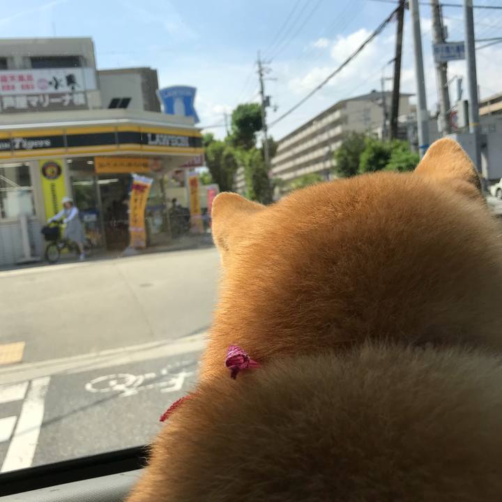 Ebf97ef5 8eb6 456f 99f0 2e9d821e9e40 1529994728173