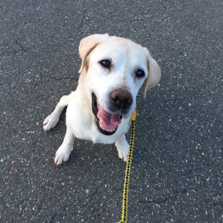 Ebf99048 3b33 4f92 aa0d d1918a2156e4 1562275819458