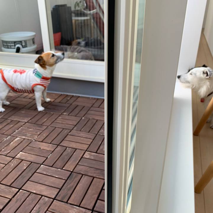 Ebf9c9ec 0356 4647 968d 749c212a306e 1590368117232