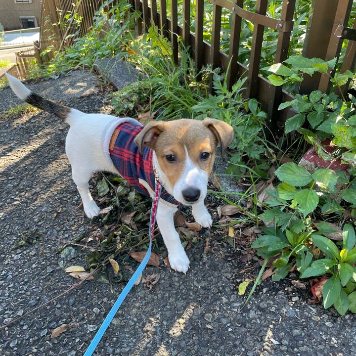 Ebf9d547 a87a 42a7 a825 0364a6ebcf36 1668930040210