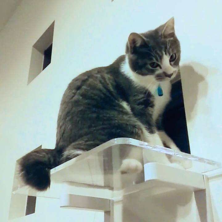 Ebf9e997 54e5 4886 b61a 1789151134d8 1634808802868