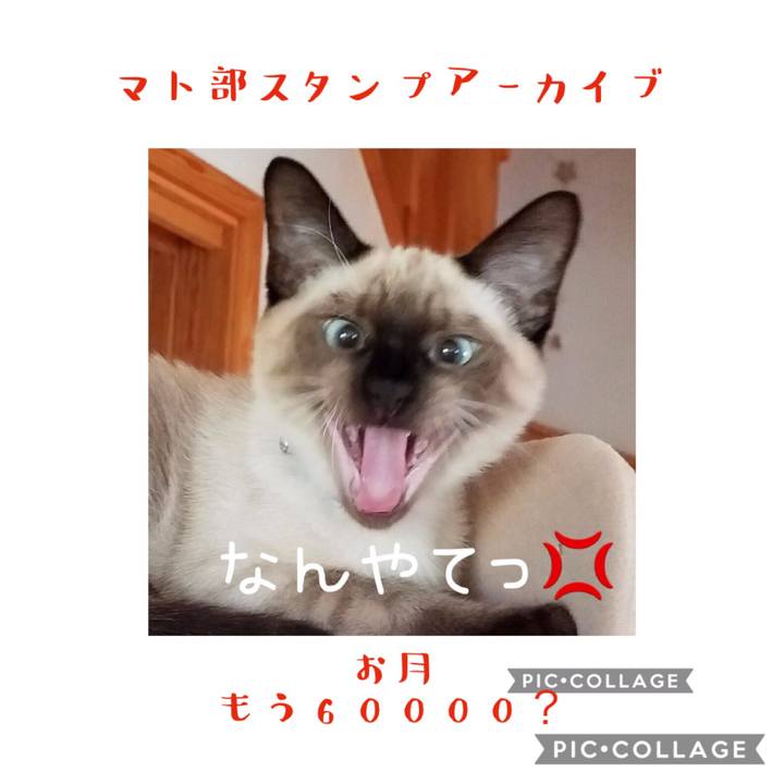 Ebfa003e 1c47 4bac b7a8 6c168a01c4ee 1578660252524