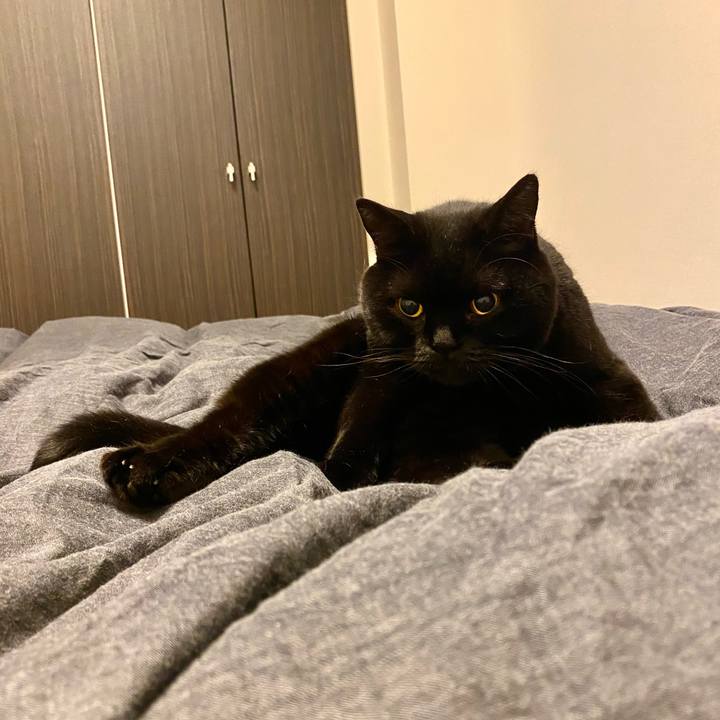 Ebfa0486 b307 46b7 ab22 c2b89c73ed39 1729862717225