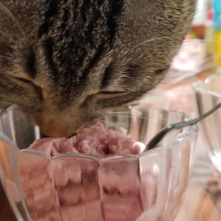 Ebfa0590 60fb 4745 8c95 443fc068b15d 1687013282657