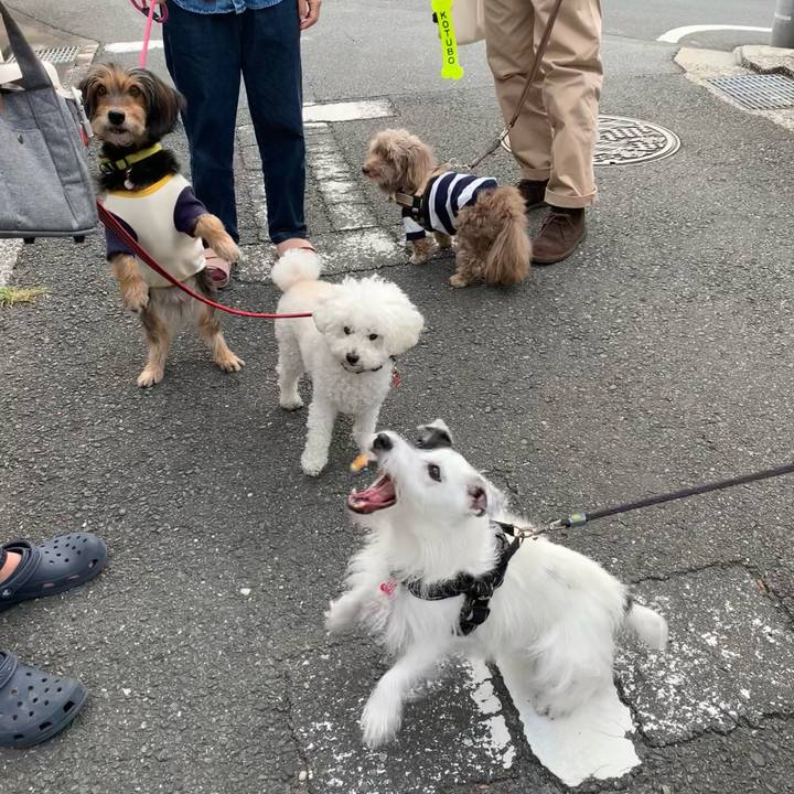 Ebfa4697 3c38 44f1 aa76 685ecc66b415 1696721812803