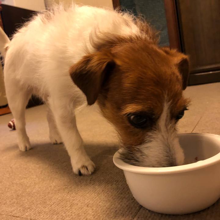 Ebfa4f8c 7806 49cf 8477 27f0e489ea2c 1521459773973