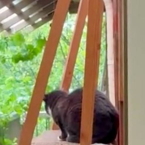 Ebfa5383 9ba7 488a aa50 4787e8ecc243 1749868610530