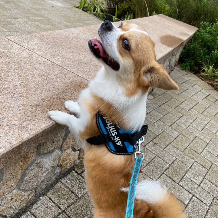 Ebfa6701 de24 4462 9010 8a1b52d98c03 1600051008606