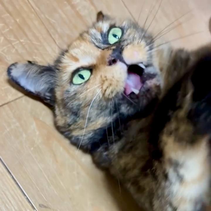 Ebfa81eb f361 4233 a625 26c8f437b4e4 1757592402616