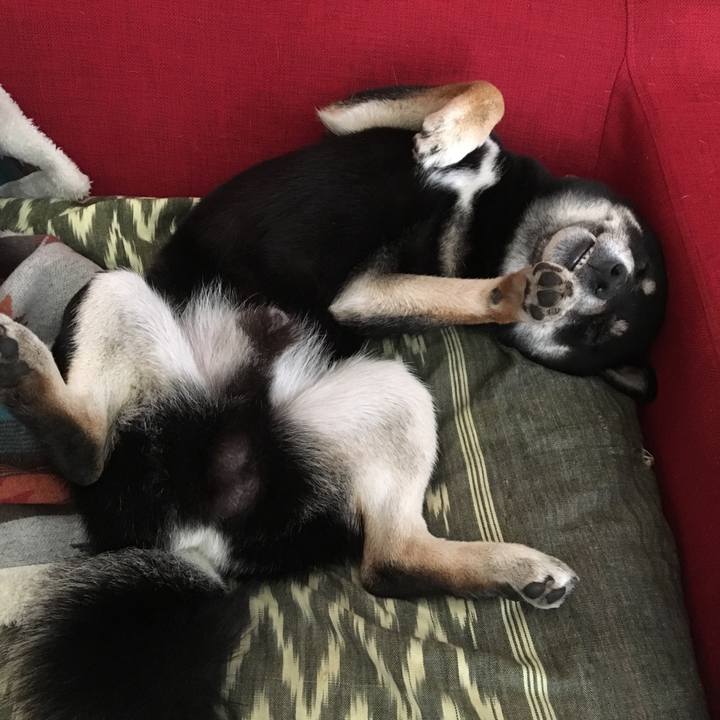 Ebfa8217 b665 4389 946b 803c90383948 1559014514645