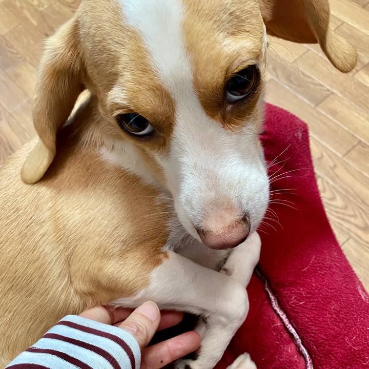 Ebfaaa1c 8bef 4c7b 80be 95390bcf9042 1582763047937