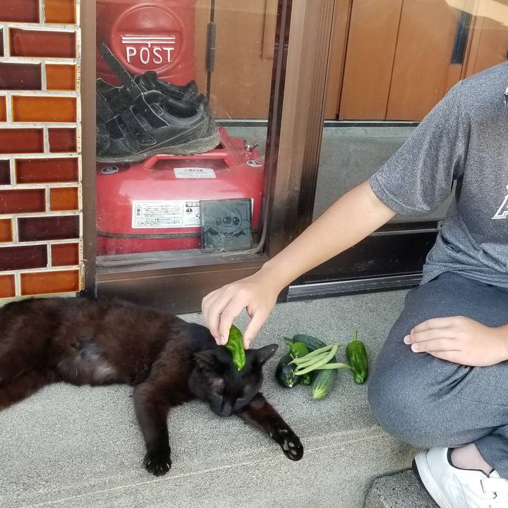 Ebfab69c 6d26 4a11 9686 7dc885693d5d 1690980920961